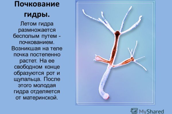 Кракен новое зеркало