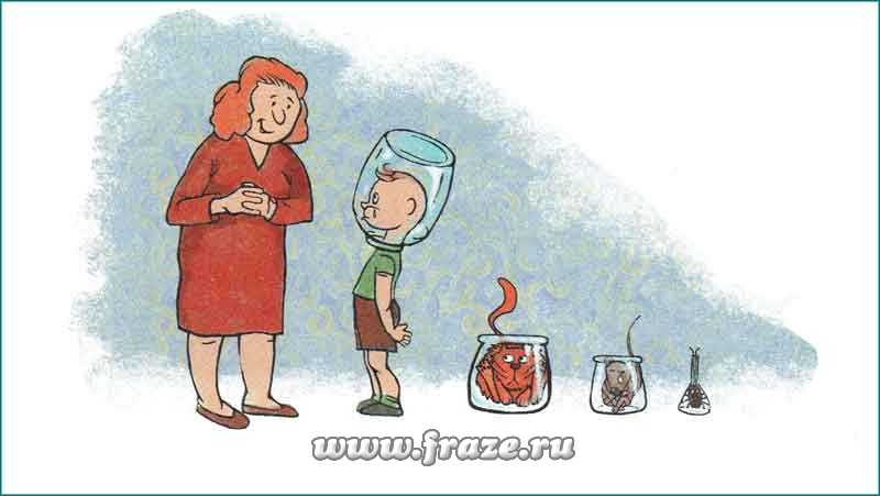 Кракен не заходит